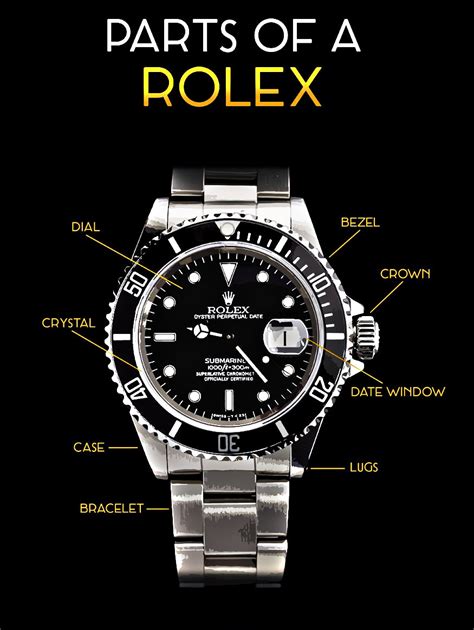 rolex diagram.